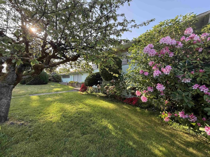 Photo 12 at 692 W 39th Avenue, Cambie, Vancouver West