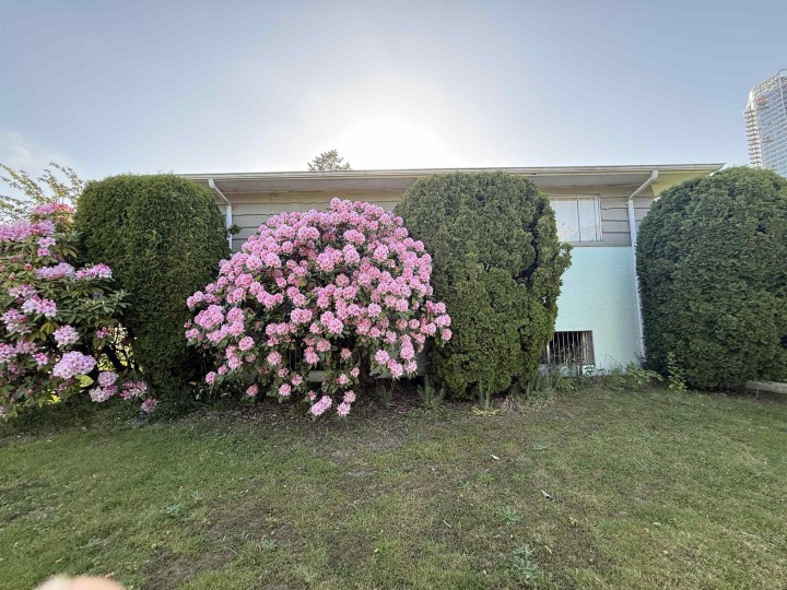 Photo 10 at 692 W 39th Avenue, Cambie, Vancouver West