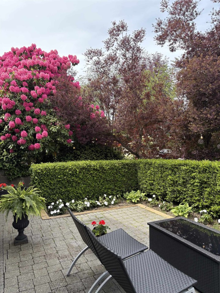 Photo 23 at 3814 W 11 Avenue, Point Grey, Vancouver West