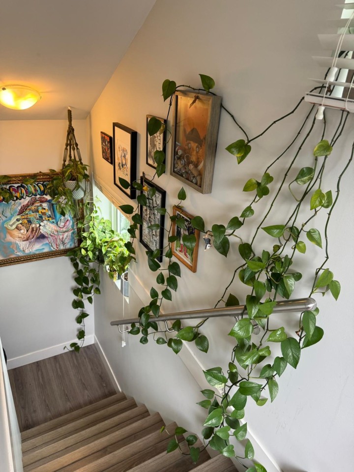 Photo 30 at 3345 Parker Street, Renfrew VE, Vancouver East