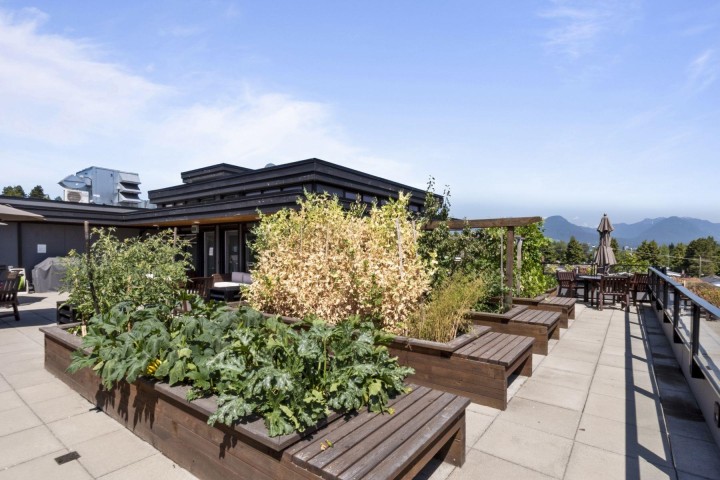 Photo 21 at 206 - 3365 E 4th Avenue, Renfrew VE, Vancouver East