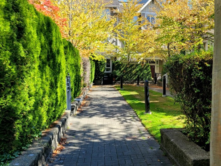Photo 24 at 3238 E 54th Avenue, Champlain Heights, Vancouver East