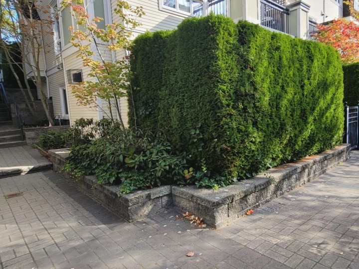 Photo 25 at 3238 E 54th Avenue, Champlain Heights, Vancouver East