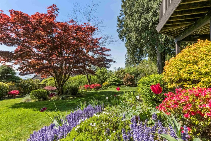Photo 27 at 2440 Queens Avenue, Queens, West Vancouver