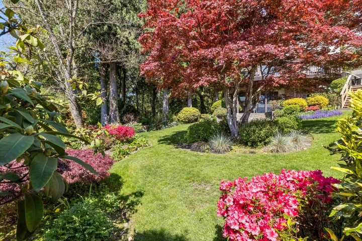 Photo 29 at 2440 Queens Avenue, Queens, West Vancouver