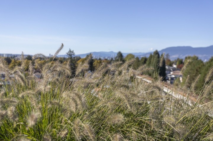 Photo 28 at 603 - 3264 Vanness Street, Collingwood VE, Vancouver East