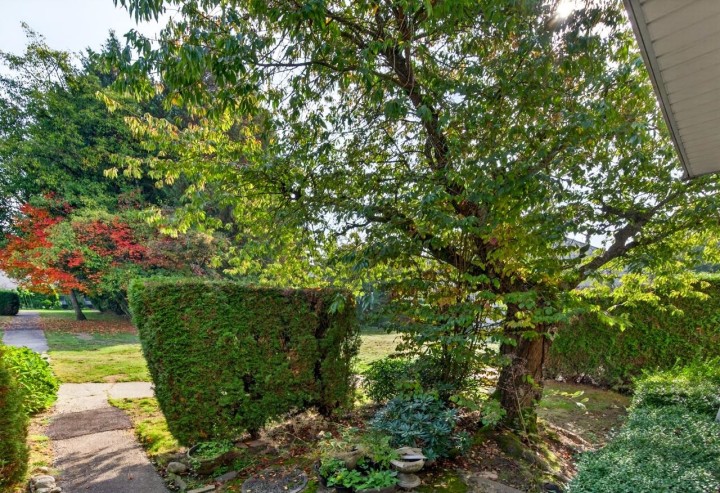 Photo 21 at 52 - 3425 E 49th Avenue, Killarney VE, Vancouver East