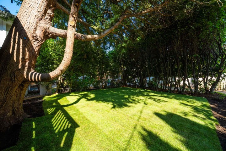 Photo 34 at 2280 Blenheim Street, Kitsilano, Vancouver West