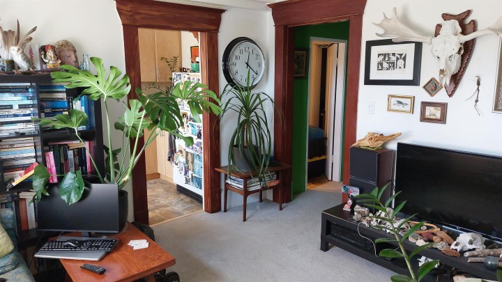 Photo 6 at 1951 Napier Street, Grandview Woodland, Vancouver East