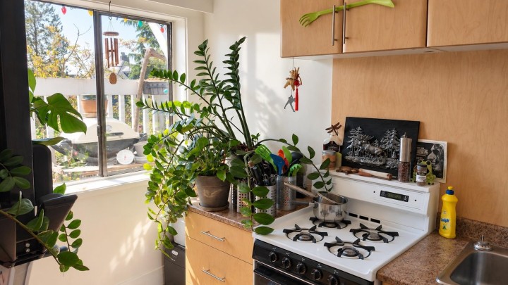 Photo 5 at 1951 Napier Street, Grandview Woodland, Vancouver East