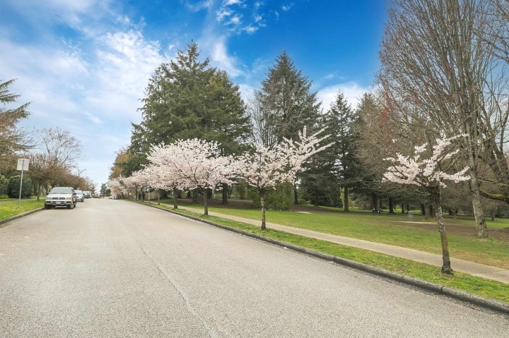 Photo 23 at 14 W 37th Avenue, Cambie, Vancouver West