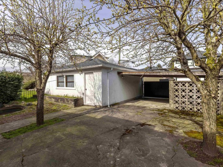 Photo 31 at 3369 Price Street, Collingwood VE, Vancouver East
