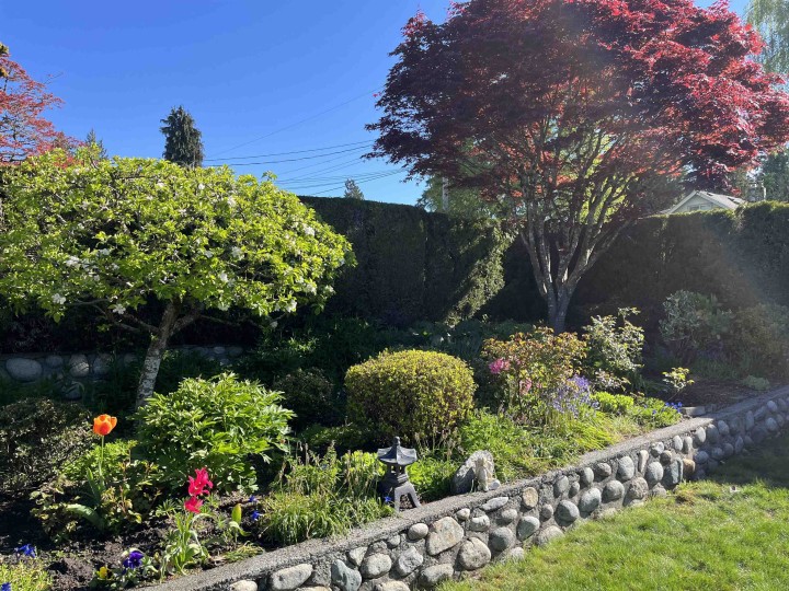 Photo 4 at 1405 20th Street, Ambleside, West Vancouver