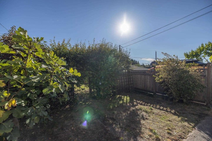 Photo 36 at 3368 Parker Street, Renfrew VE, Vancouver East