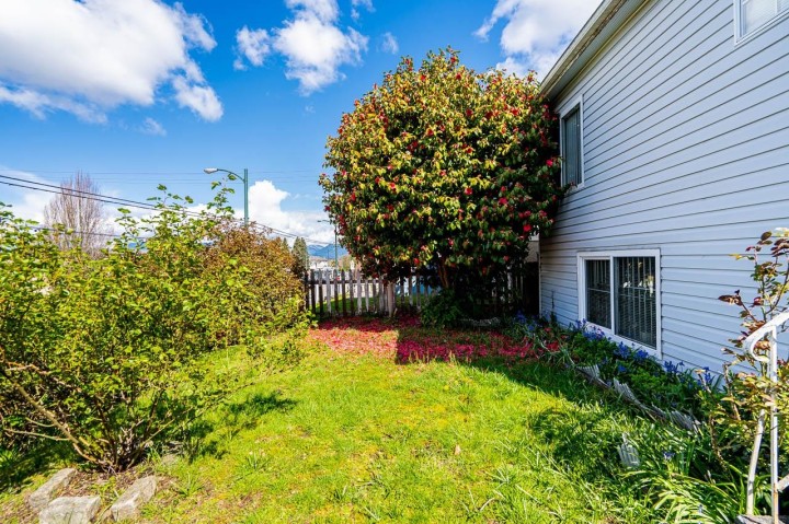 Photo 34 at 4712 Victoria Drive, Victoria VE, Vancouver East