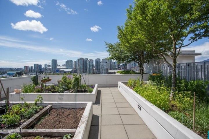Photo 24 at 511 - 189 Keefer Street, Downtown VE, Vancouver East