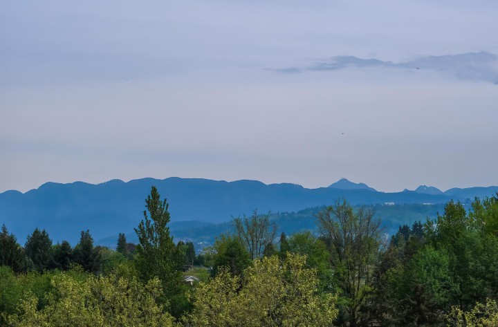 Photo 13 at 915 - 5665 Boundary Road, Collingwood VE, Vancouver East
