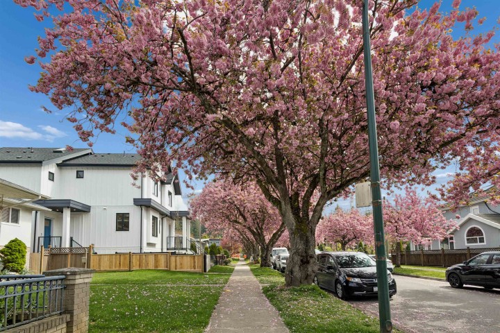 Photo 39 at 1 - 3637 E 46th Avenue, Killarney VE, Vancouver East