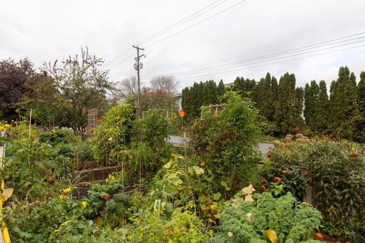 Photo 36 at 115 - 1890 W 6th Avenue, Kitsilano, Vancouver West