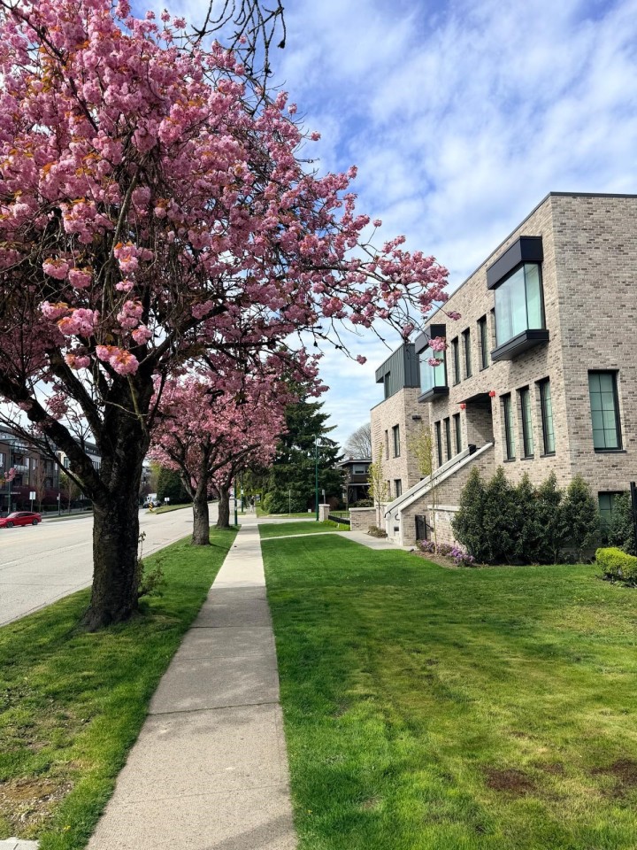 Photo 13 at 101 - 157 W King Edward Avenue, Cambie, Vancouver West