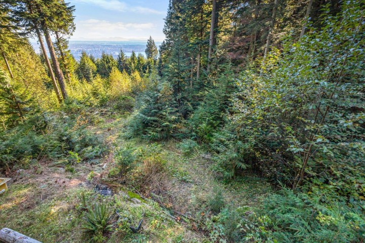 Photo 23 at 1C Hollyburn Ridge, Cypress Park Estates, West Vancouver