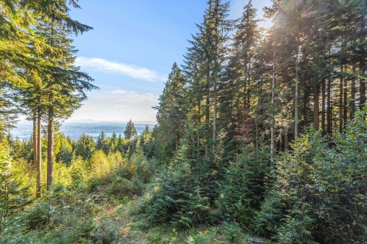 Photo 20 at 1C Hollyburn Ridge, Cypress Park Estates, West Vancouver
