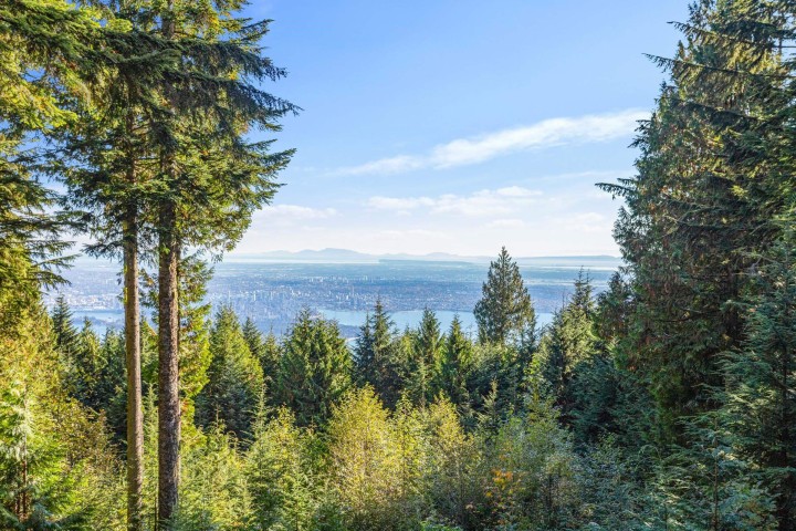 Photo 21 at 1C Hollyburn Ridge, Cypress Park Estates, West Vancouver