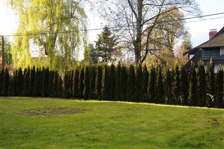 Photo 24 at 1775 Cedar Crescent, Shaughnessy, Vancouver West