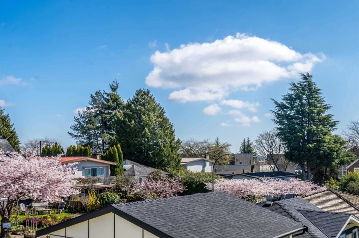 Photo 13 at 8182 Cartier Street, Marpole, Vancouver West